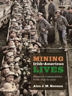 cover image of Mining Irish-American Lives
